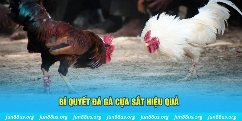 fun 88 xổ số miền bắc thứ ba hàng tuần