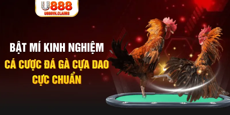 fun 88 casino hồ tràm có cho người việt vào không