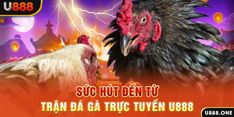 fun 88 đăng nhập poker 2024