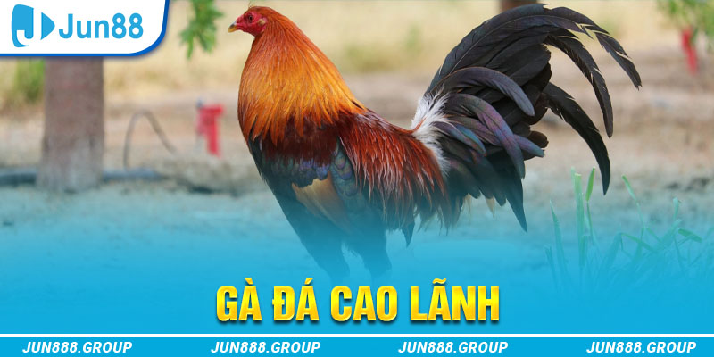 fun 88 tai game vua bai ve may tinh