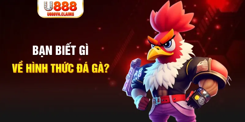 fun 88 đăng nhập liêng tặng tiền