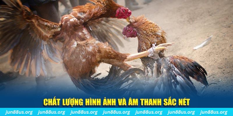 fun 88 tai game danh bai mien phi ve may tinh