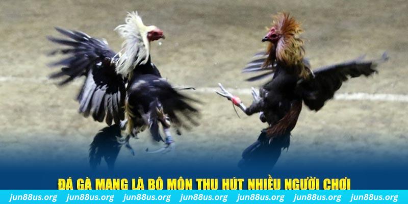 fun 88 đăng nhập sòng bạc số 1