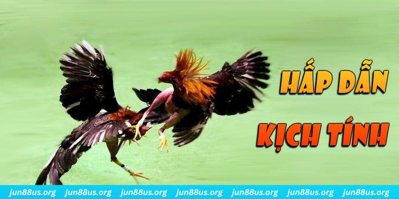 fun 88 xổ số miền nam thứ sáu