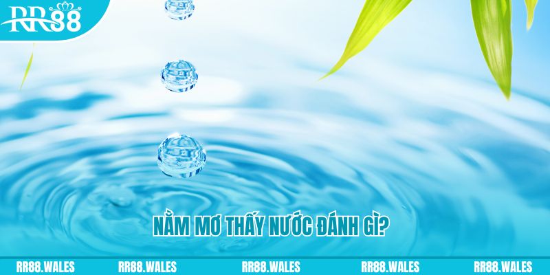 fun 88 xổ số trực tiếp miền bắc