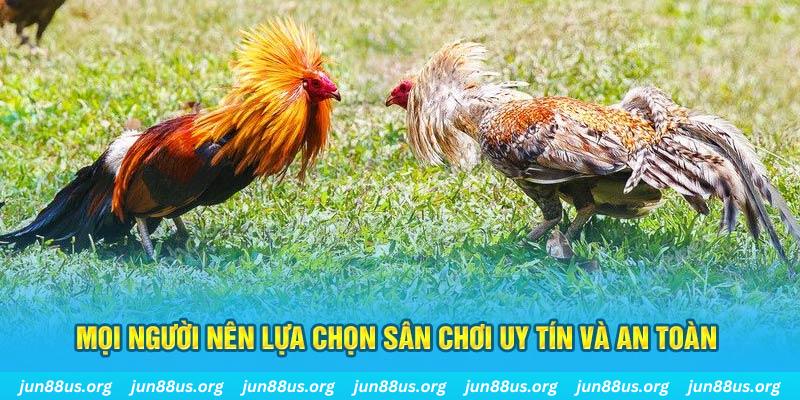 fun 88 đăng nhập poker 2025