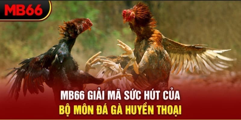 fun 88 xổ số đài bắc