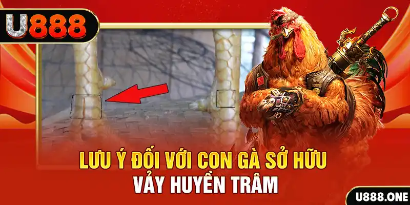 fun 88 tải game đánh bài tiến lên miền nam về máy tính