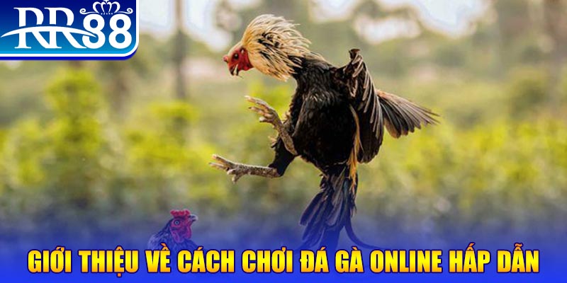 fun 88 bắn cá h5 là gì