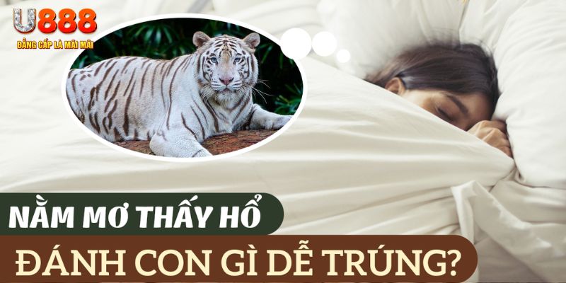 fun 88 nohu .mx nổ hủ là gì