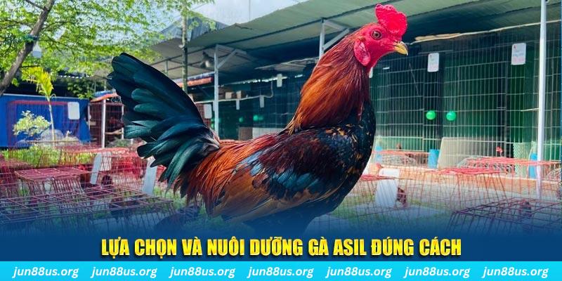 fun 88 nổ hũ thần tài là gì