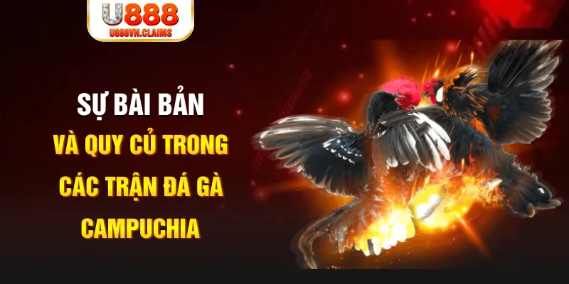 fun 88 game xếp bài trên máy tính