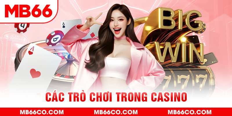 fun 88 chổi lông gà