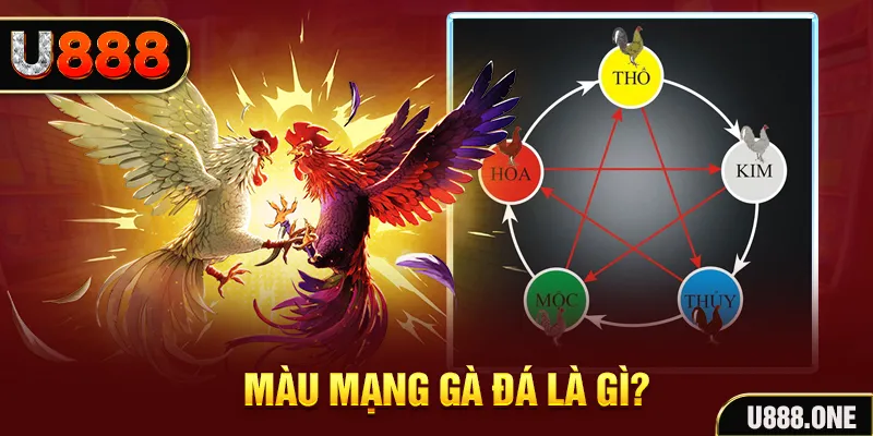 fun 88 V8 Game Bài 3d