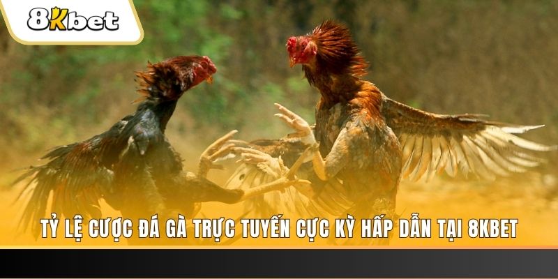 fun 88 xổ số miền bắc chủ nhật