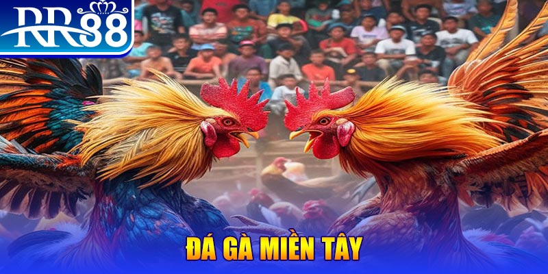 fun 88 đăng nhập liêng đổi thưởng