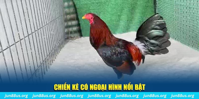 fun 88 qq88 bắn cá
