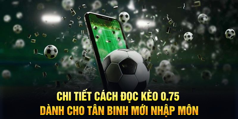 fun 88 Xì tố