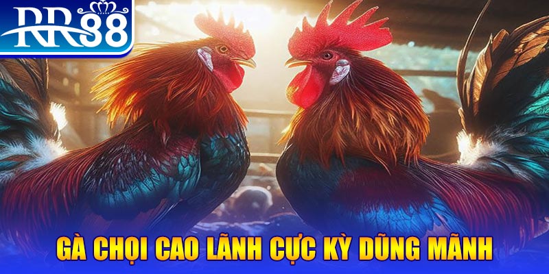 fun 88 đăng nhập poker live